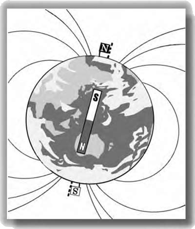 生命磁場|地磁気50のなぜ